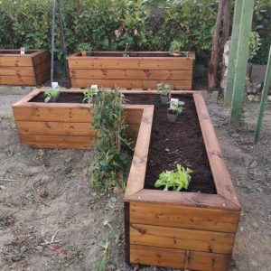 Jardinières en pin