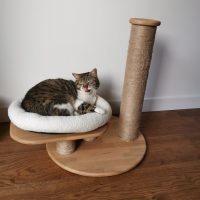 Arbre à chat en hêtre et jute